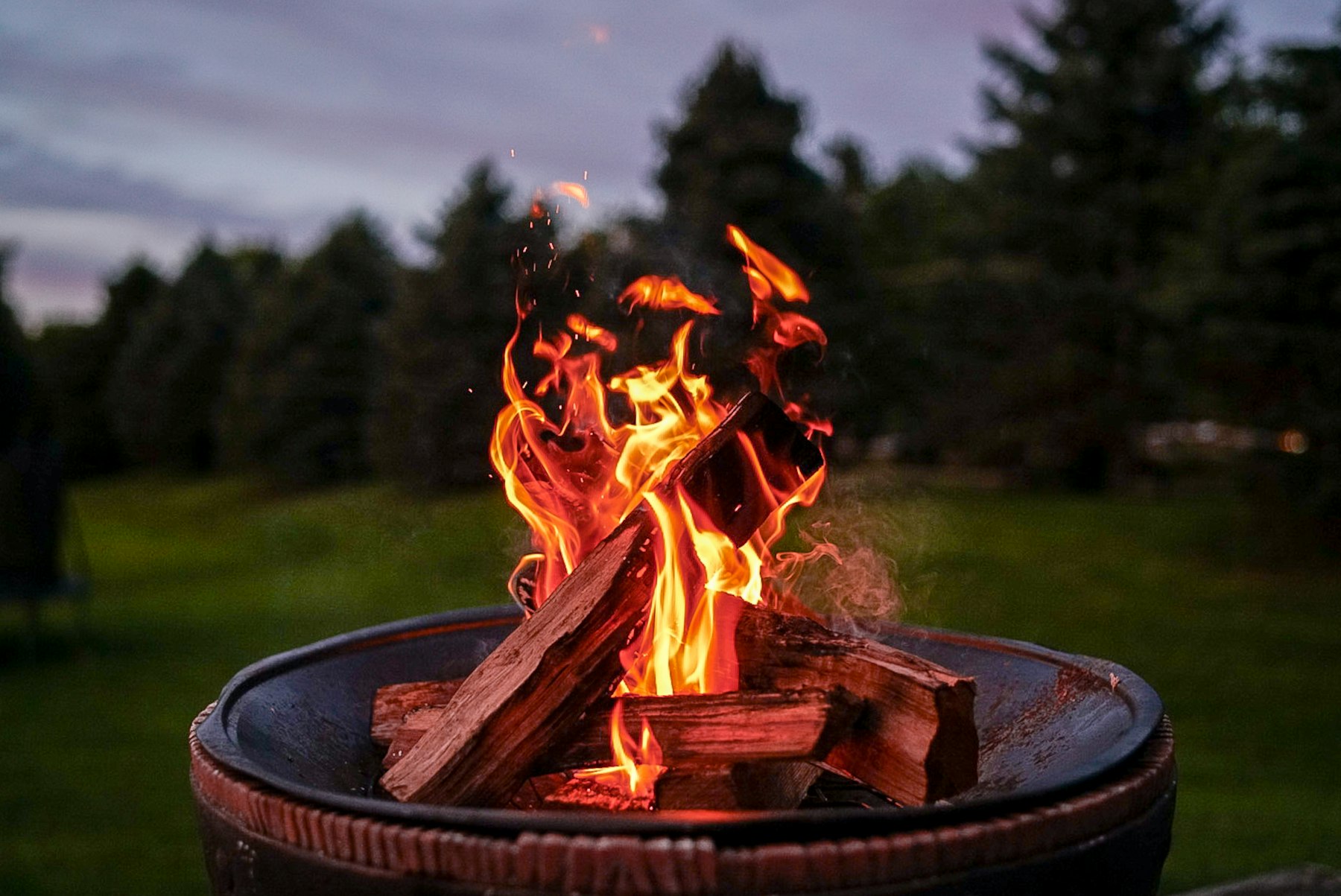 Outdoor fire pit at dusk with pine trees behind